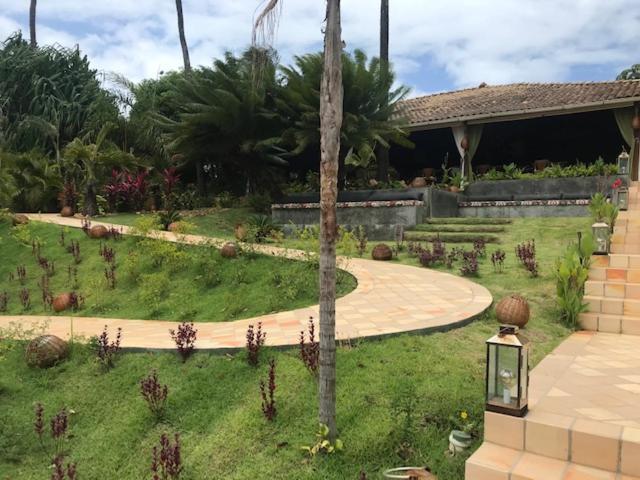 Pousada Dos Girassois Praia de Pipa Ngoại thất bức ảnh